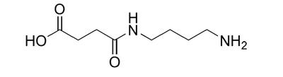  crystal heterobifunctional lab Butanoic acid, 4-[(4-aminobutyl)amino]-4-oxo- 