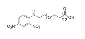 DNP-PEG12-acid