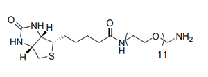 1H-Thieno[3,4-d]imidazole-4-pentanamide, N-(35-amino-3,6,9,12,15,18,21,24,27,30,33-undecaoxapentatriacont-1-yl)hexahydro-2-oxo-